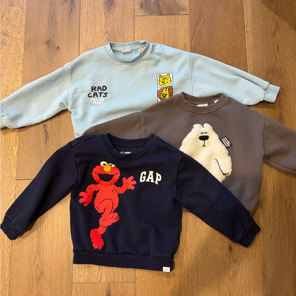 Bundle of 3 age 4T Sweatshirts from Zara and Gap